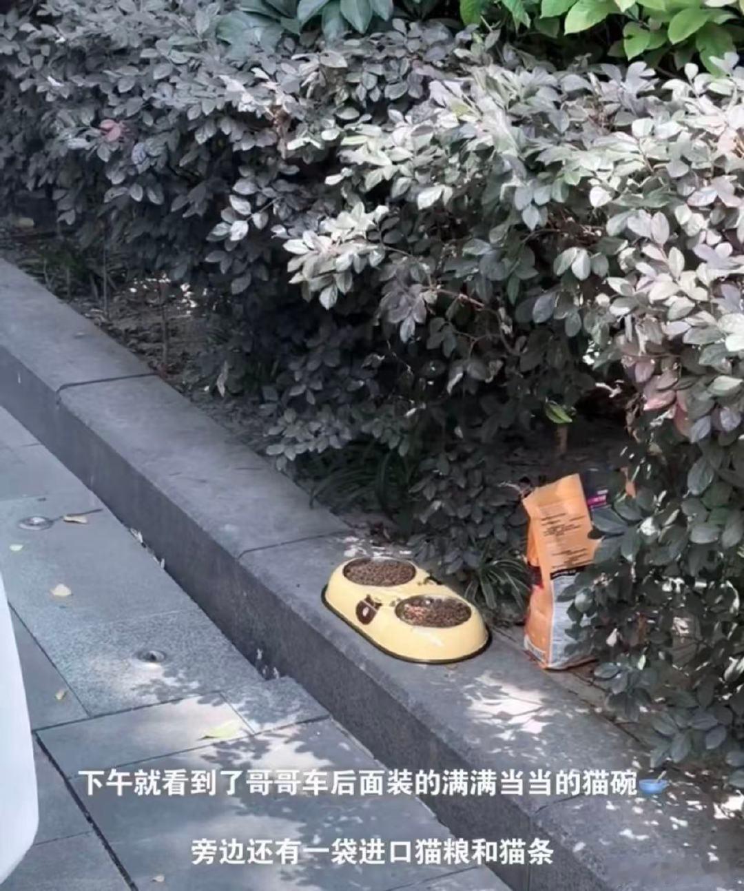 鹿晗给流浪猫买猫碗猫粮猫条鹿晗给流浪猫买猫碗猫粮猫条！我保证鹿晗是天使