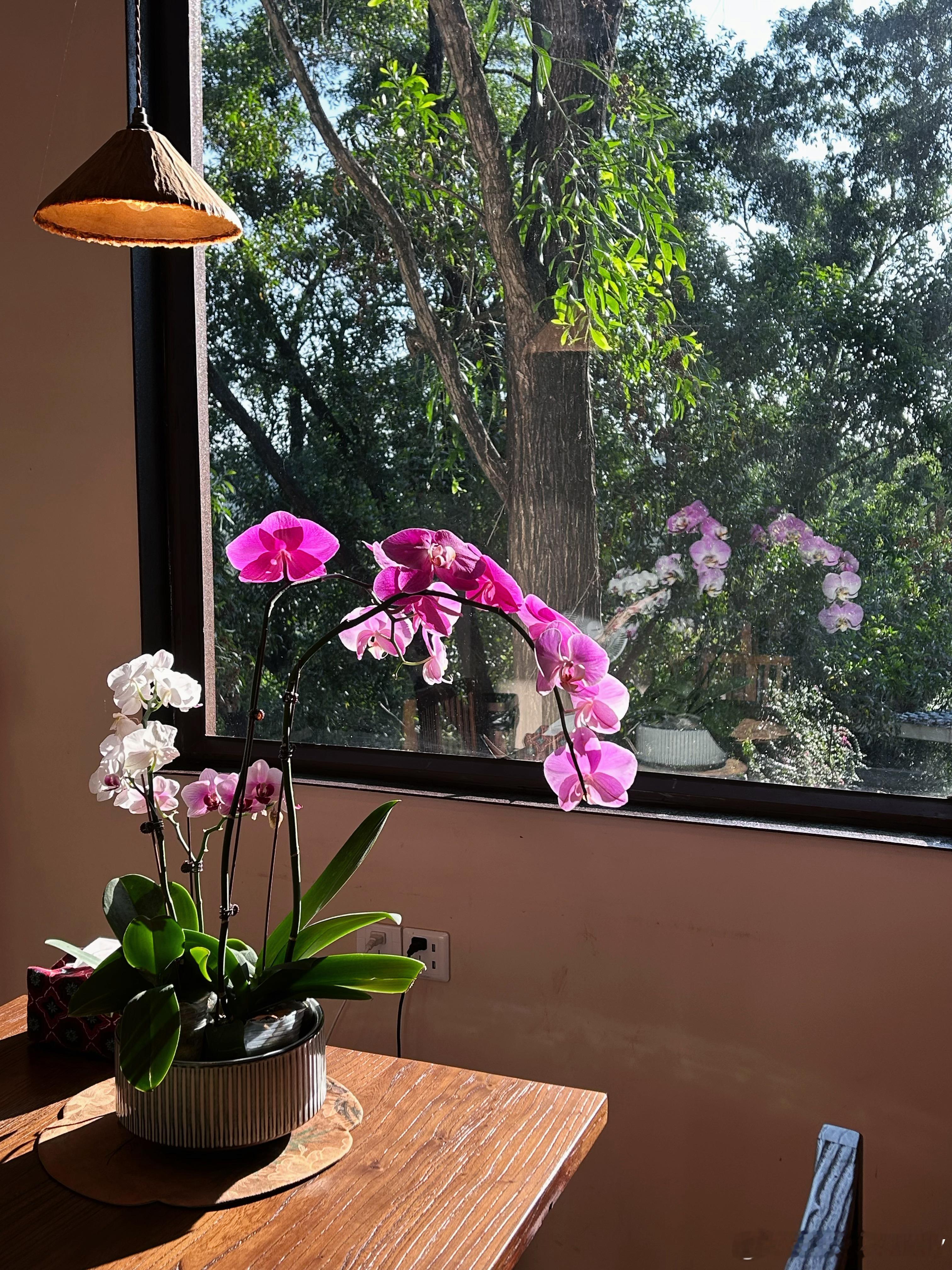 愿好运降临 深圳·南山