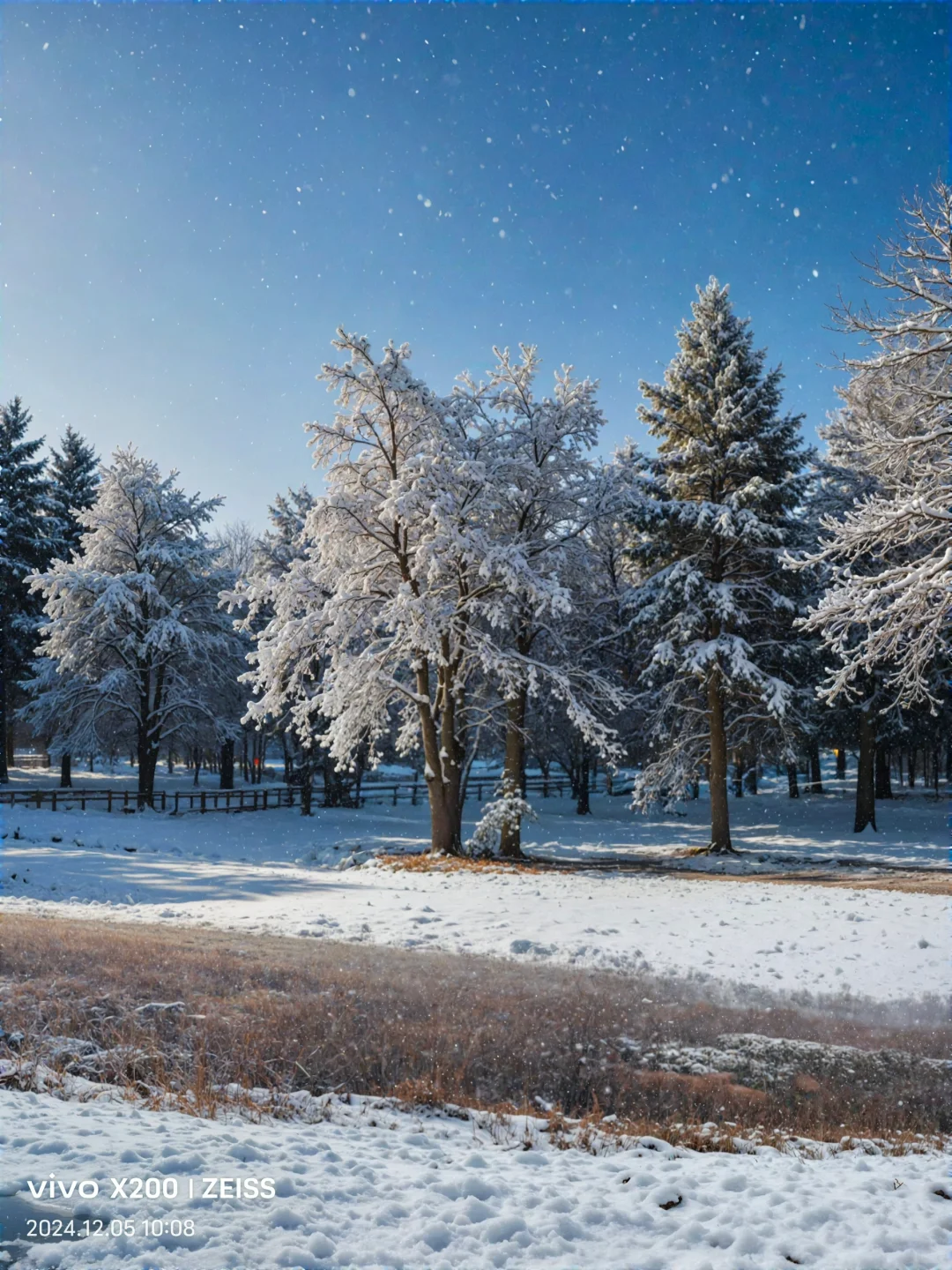 北平初雪？！AI拍照别太离谱！！！😂