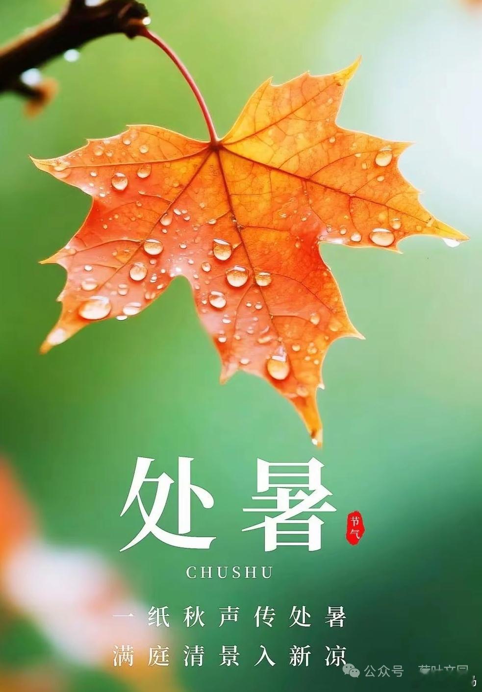 人生如逆旅，我亦是行人。人生就是一家旅店，每个人都是路过的客人，别太执着，住着的