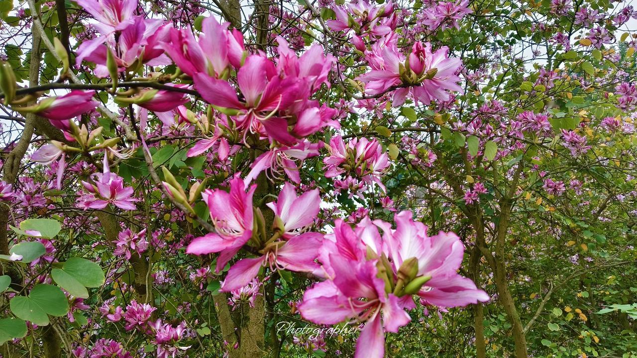 伊朗人求饶了？
今天凌晨，白宫主人对记者表示：“几小时前我们接到了来自德黑兰必要
