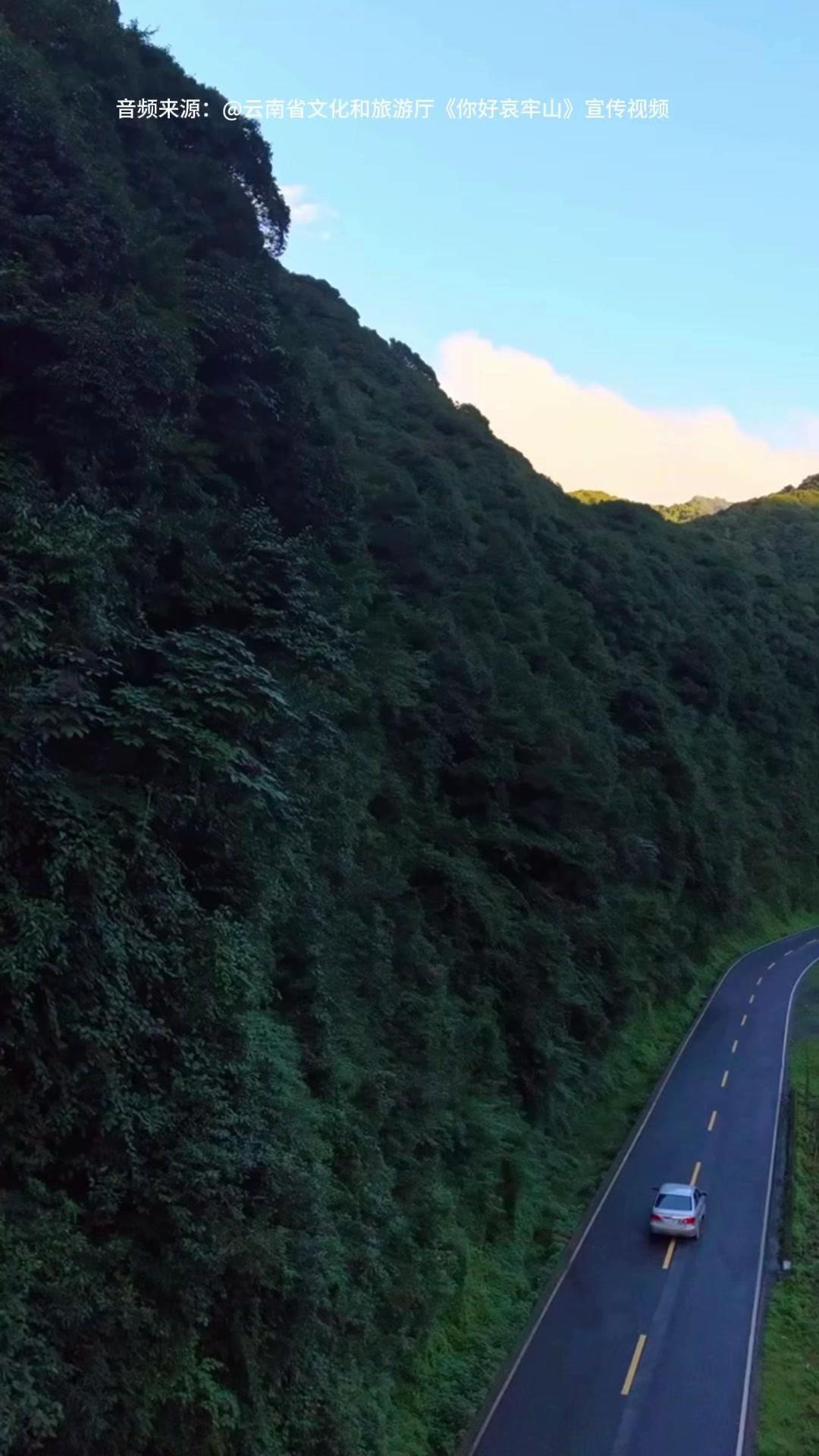 🌿哀牢山，3166米主峰的高度藏着山水奥义，登高时灵魂仿佛也跟着升华。蜿蜒山路