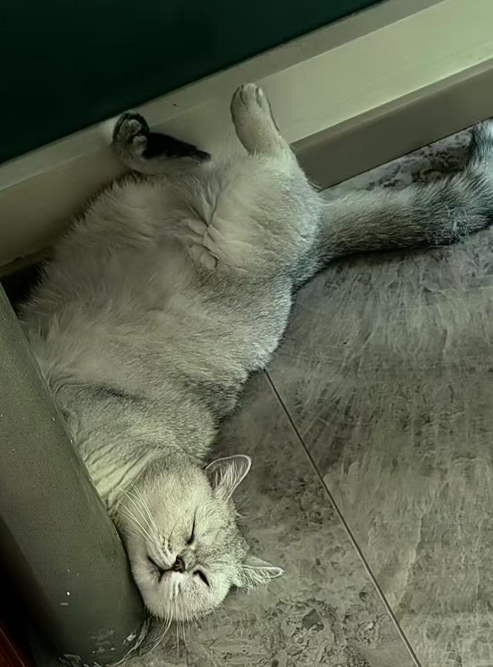 一场打了四年而且继续在打的俄乌战争，不仅把俄罗斯这个所谓的军事超级强国和普京这个