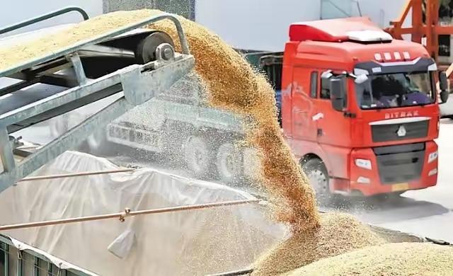 如果全球都停止出口粮食，中国能否自给自足？不夸张地说，中国或许无法做到自给自足，
