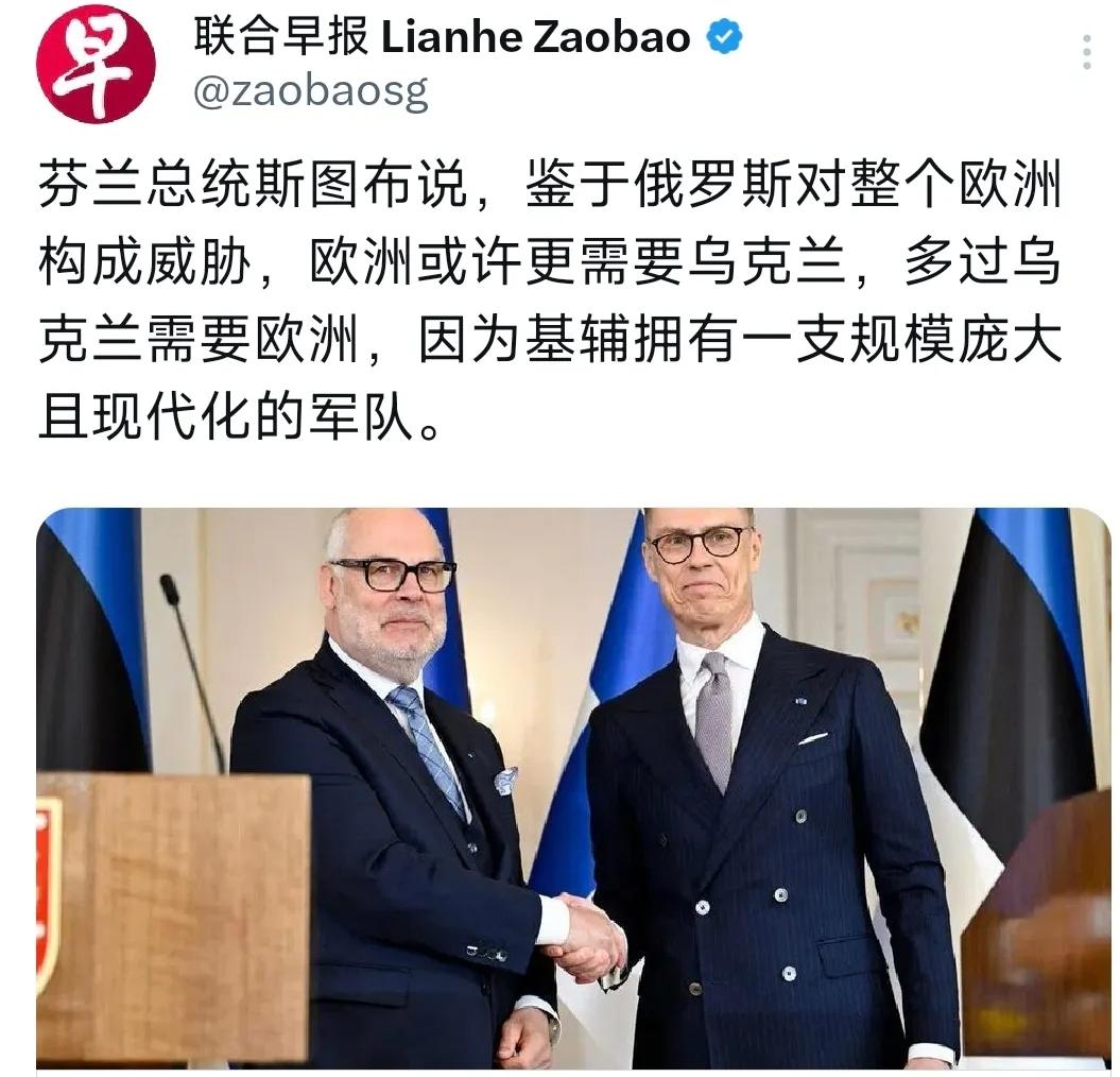 2026年4月29日，芬兰总统斯图布在公开讲话中抛出了一个颇具争议的观点。

他