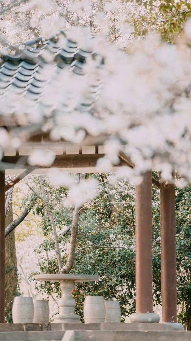 整个夏天，语言总不能捉住心绪，漫溢的心绪也许注定无以表达，语言总是离他的心愿太远