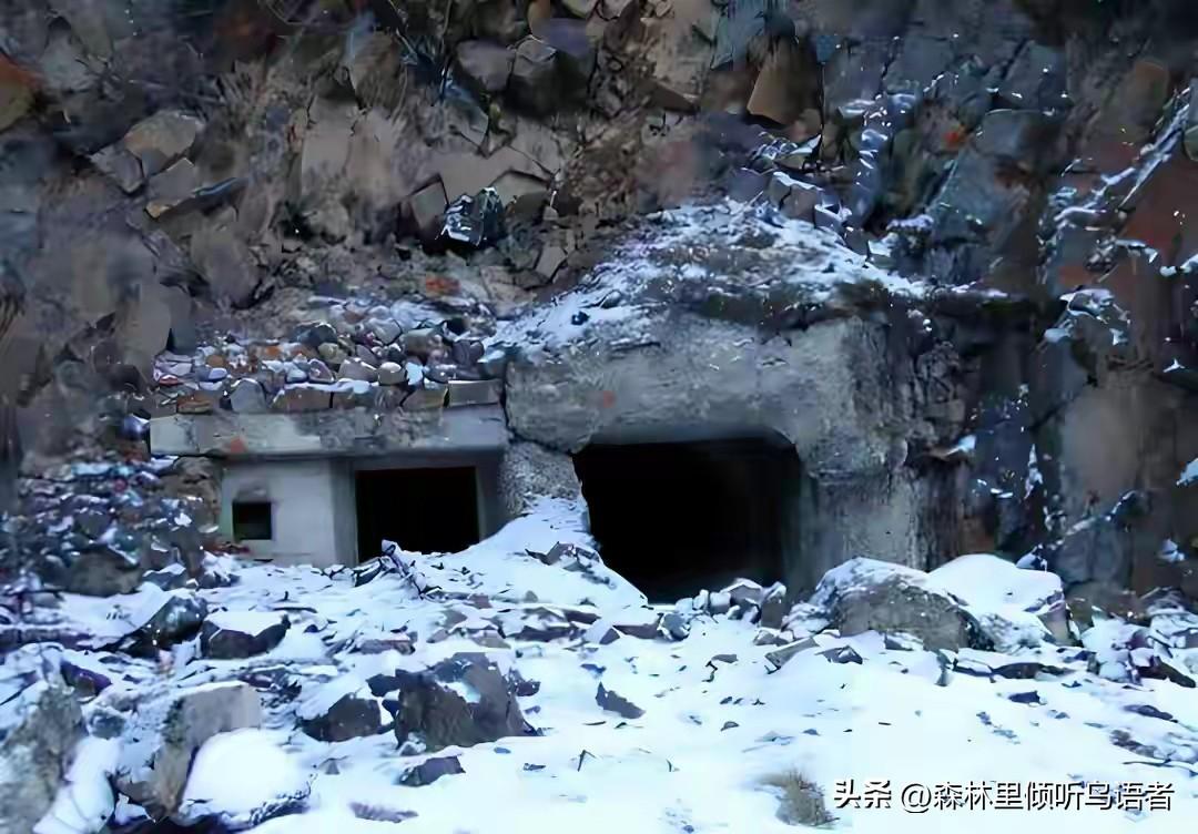 1956年，内蒙古一少年踢开日军暗堡：密林深处的阴影，远比枪炮更令人胆寒
195