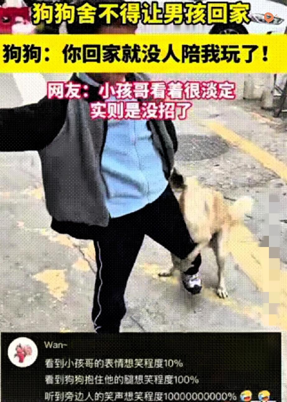 笑着笑着就鼻酸！

福建男孩要回家，小狗竟死死抱住他的腿不肯放，那股执拗的小模样