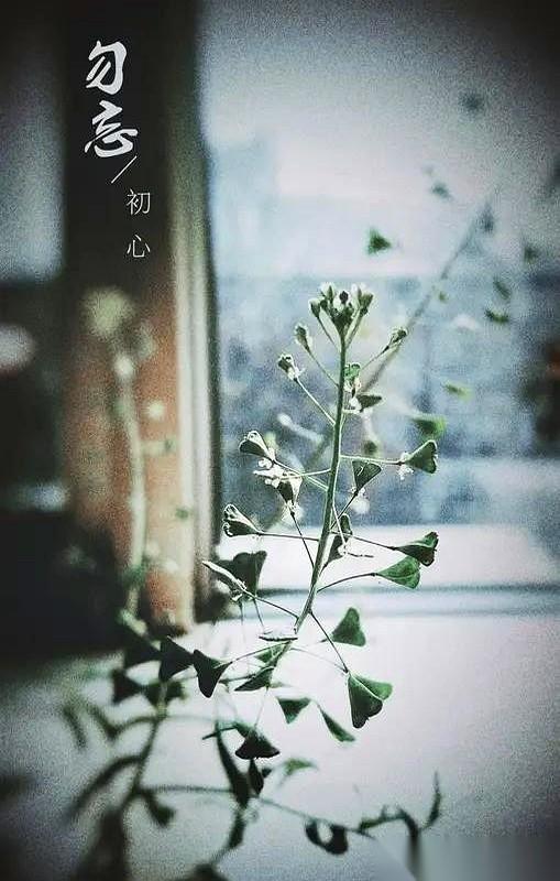 就在昨晚，我干脆利落地拉黑了一个认识八年的熟人。
按下删除键的那一秒，没有痛心，