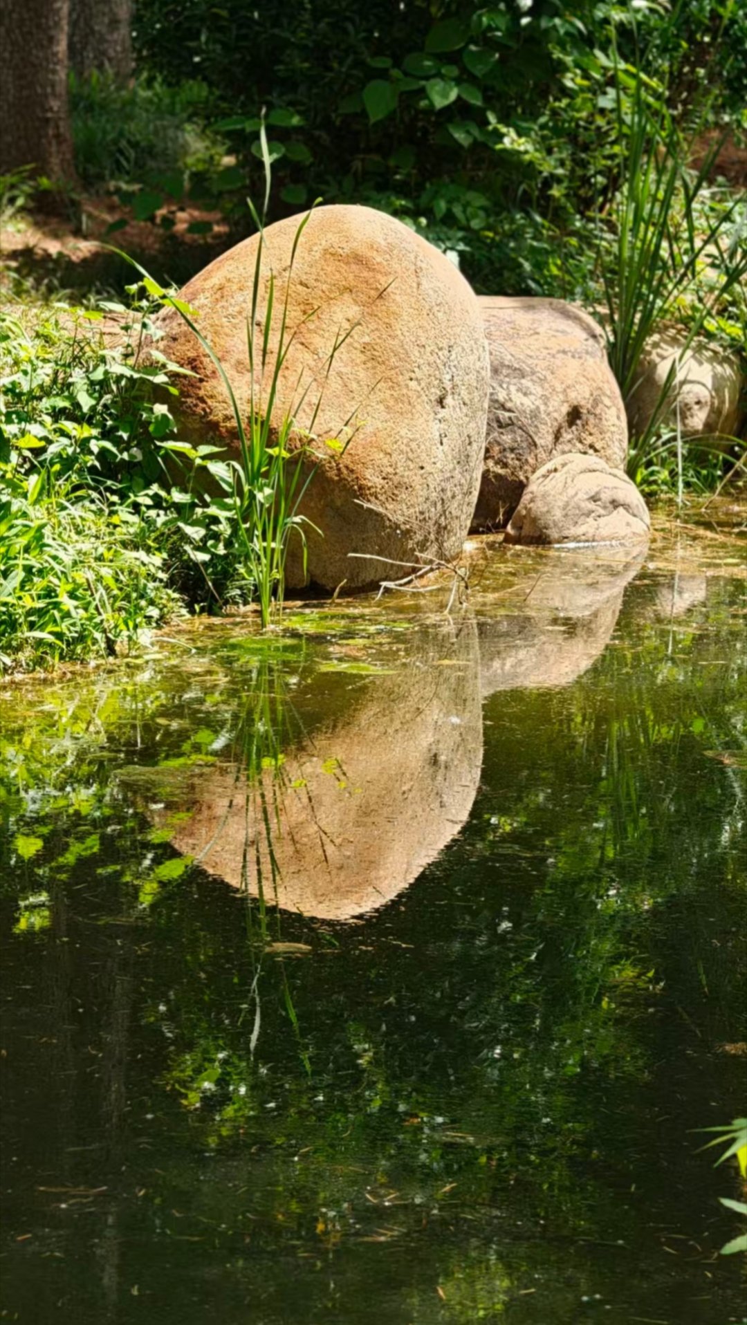 colorwalk偶遇春天我的春色配方 春风入园林，繁花次第开。绣球温婉，杜鹃烂
