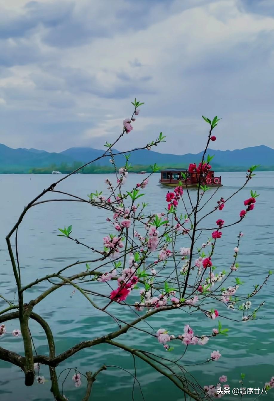 生活，是一场温柔的坚持。
不抱怨，不纠缠，不内耗。
把情绪调成静音模式，
把日子