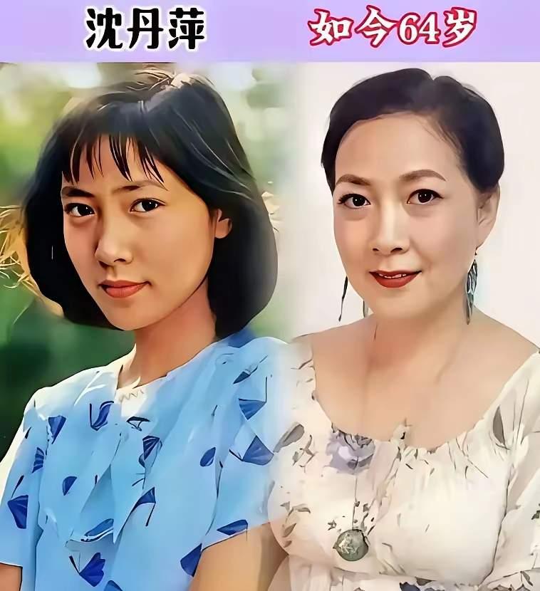 三位老牌女明星对比，你喜欢哪一位呢？