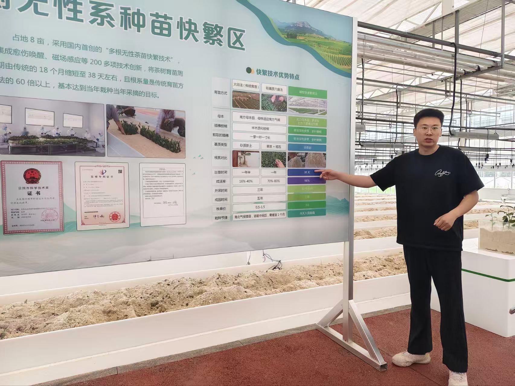 秦岭笑谈 【体悟制茶匠心 传承日照茶香】曲阜师范大学大学生暑假社会实践活动暑假期
