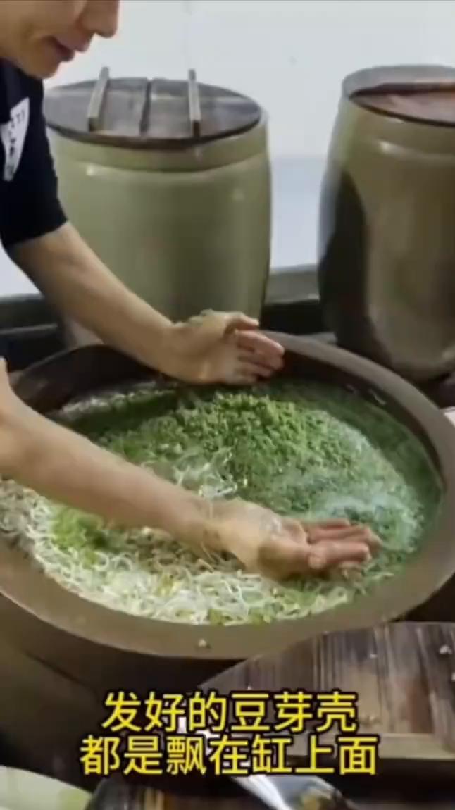 发好的豆芽壳都是飘在缸上面。