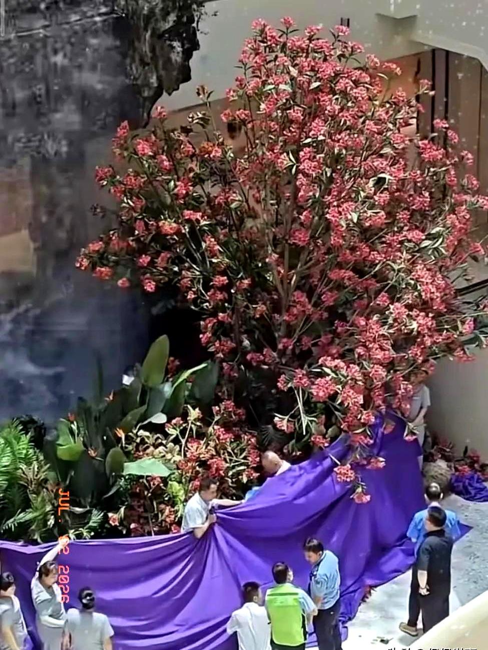 辛辛苦苦干了三十年，发不出工资还要被商场赶出门，这合理吗？
西安赛格的一张千万罚