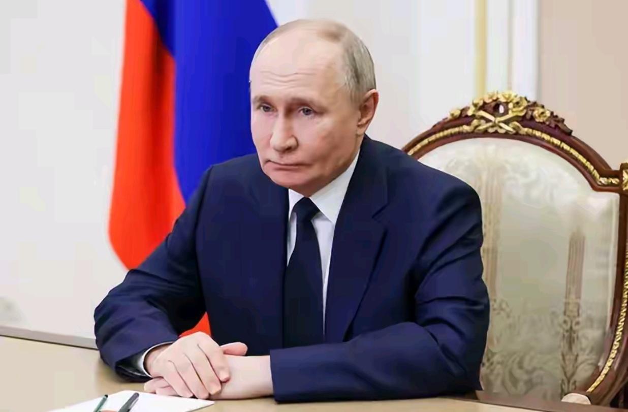 盟友的表态与共赢的棋局
普京最新涉华表态再次强调了中俄关系的“高水平”与“稳定性