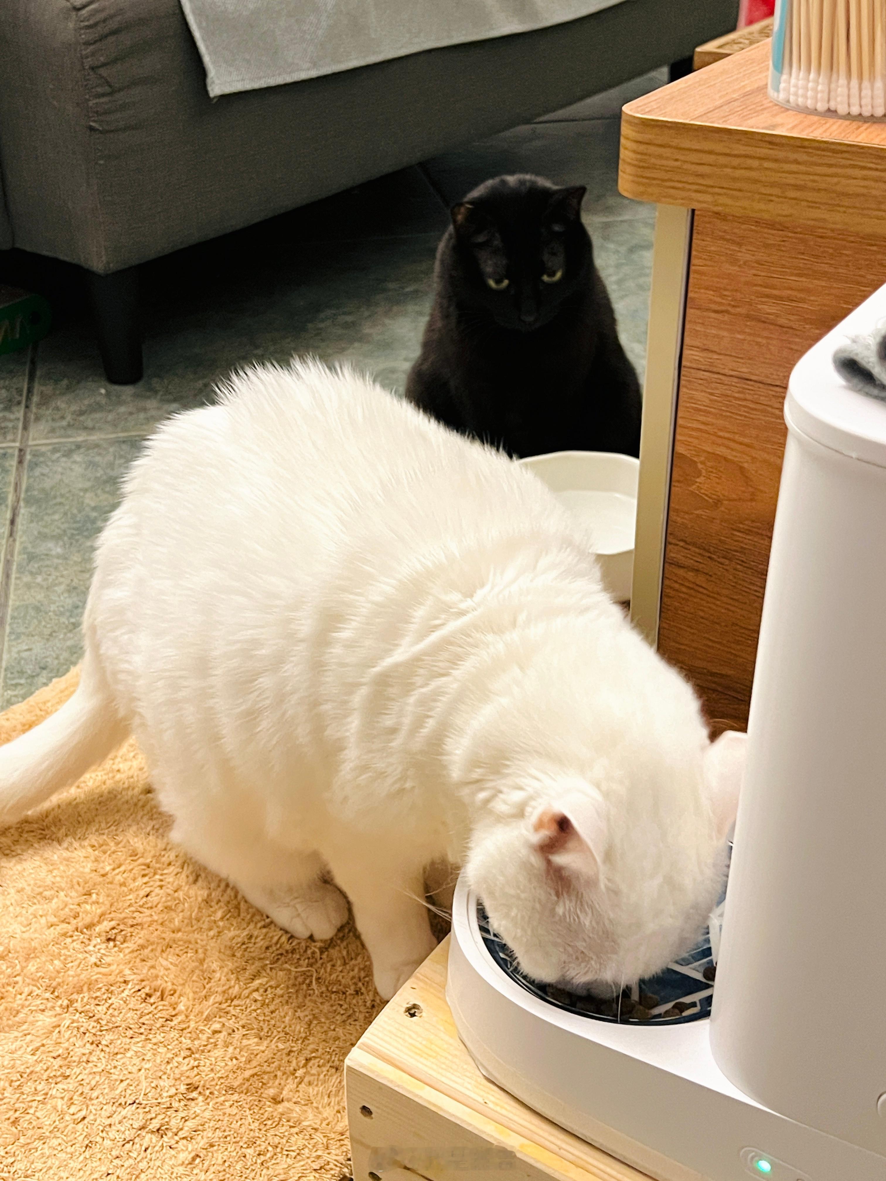 蝦：羅馬不是一天造成的。 ​​​