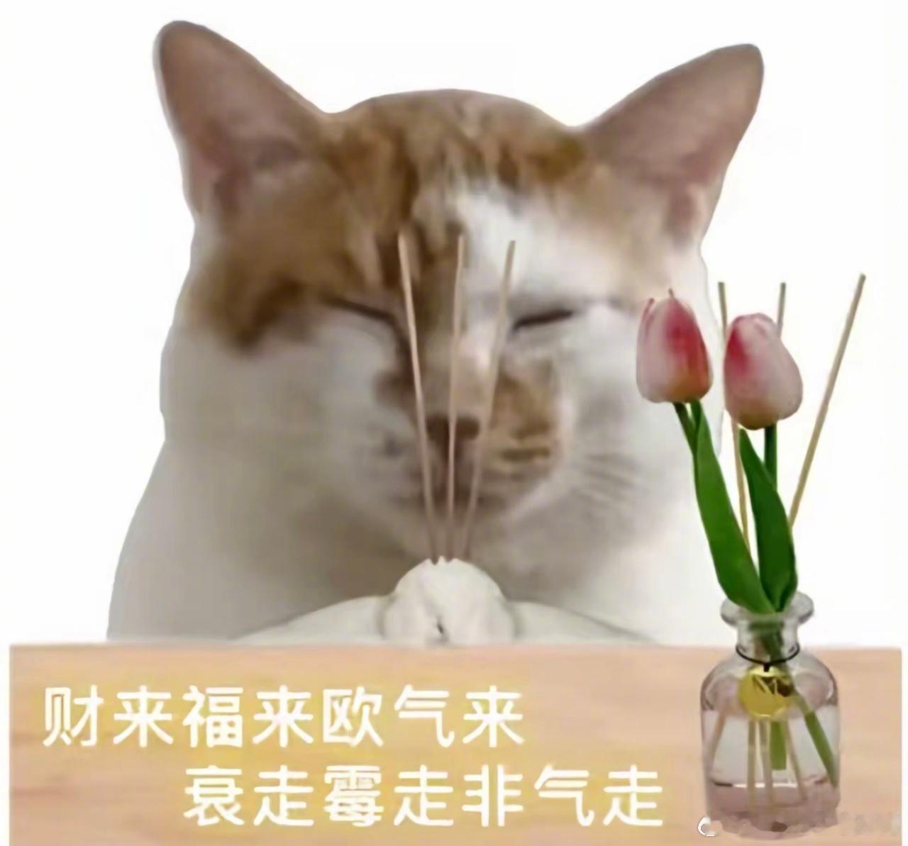 三大理财反指博主被AI辣评后破防 博主晒股票赚钱却被AI说靠运气救命！三大理财“
