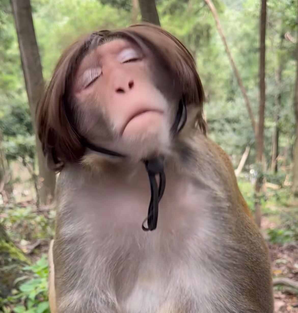 如果让你回到18岁，你所经历的一切都不会改变，你还愿意回去么？