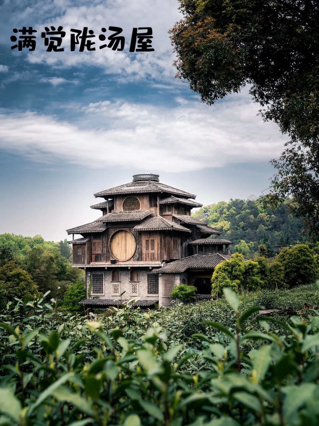 杭州拍照No.31｜ 打卡满觉陇汤屋