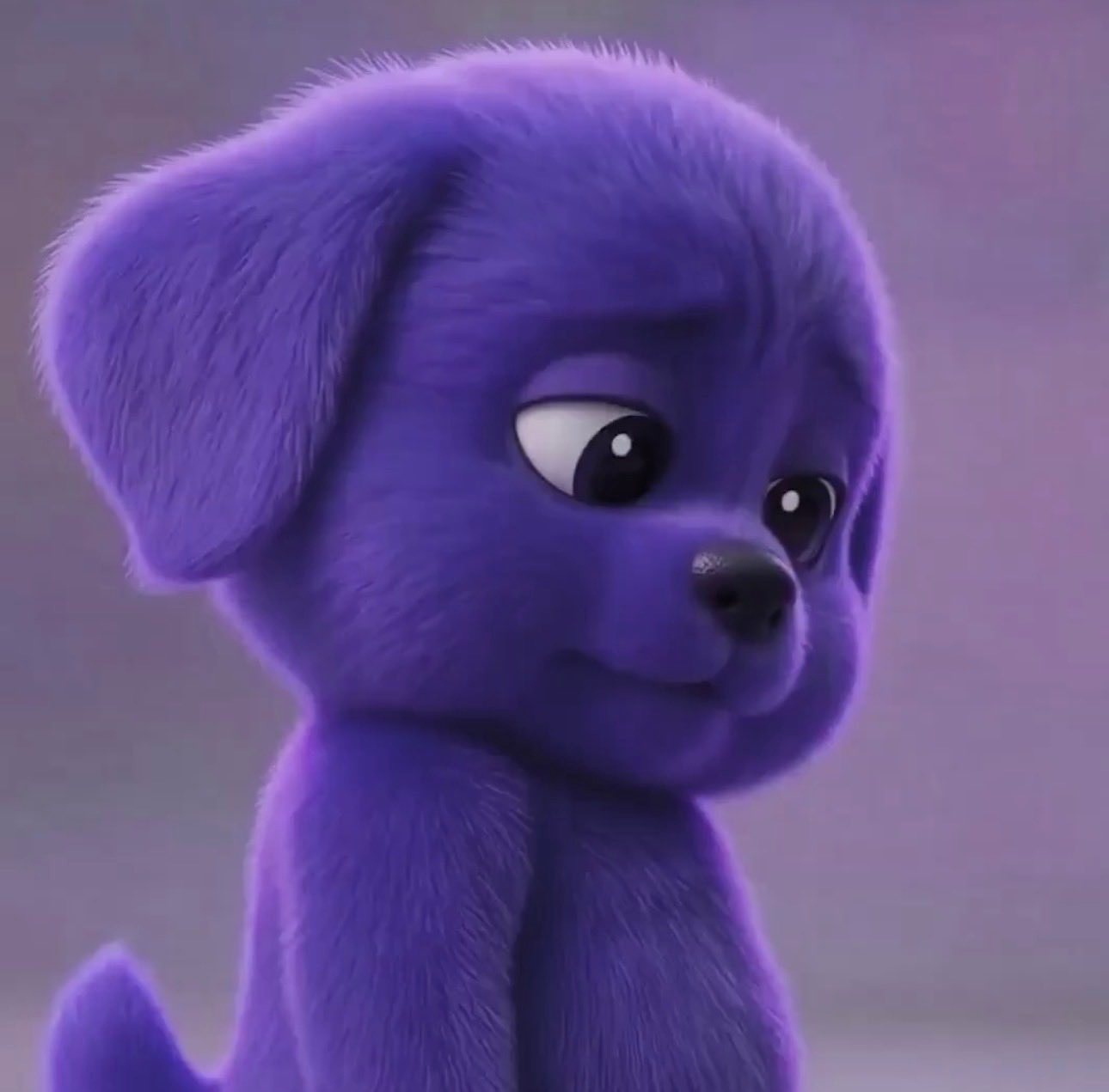 SGA还是要重点防一防的。 