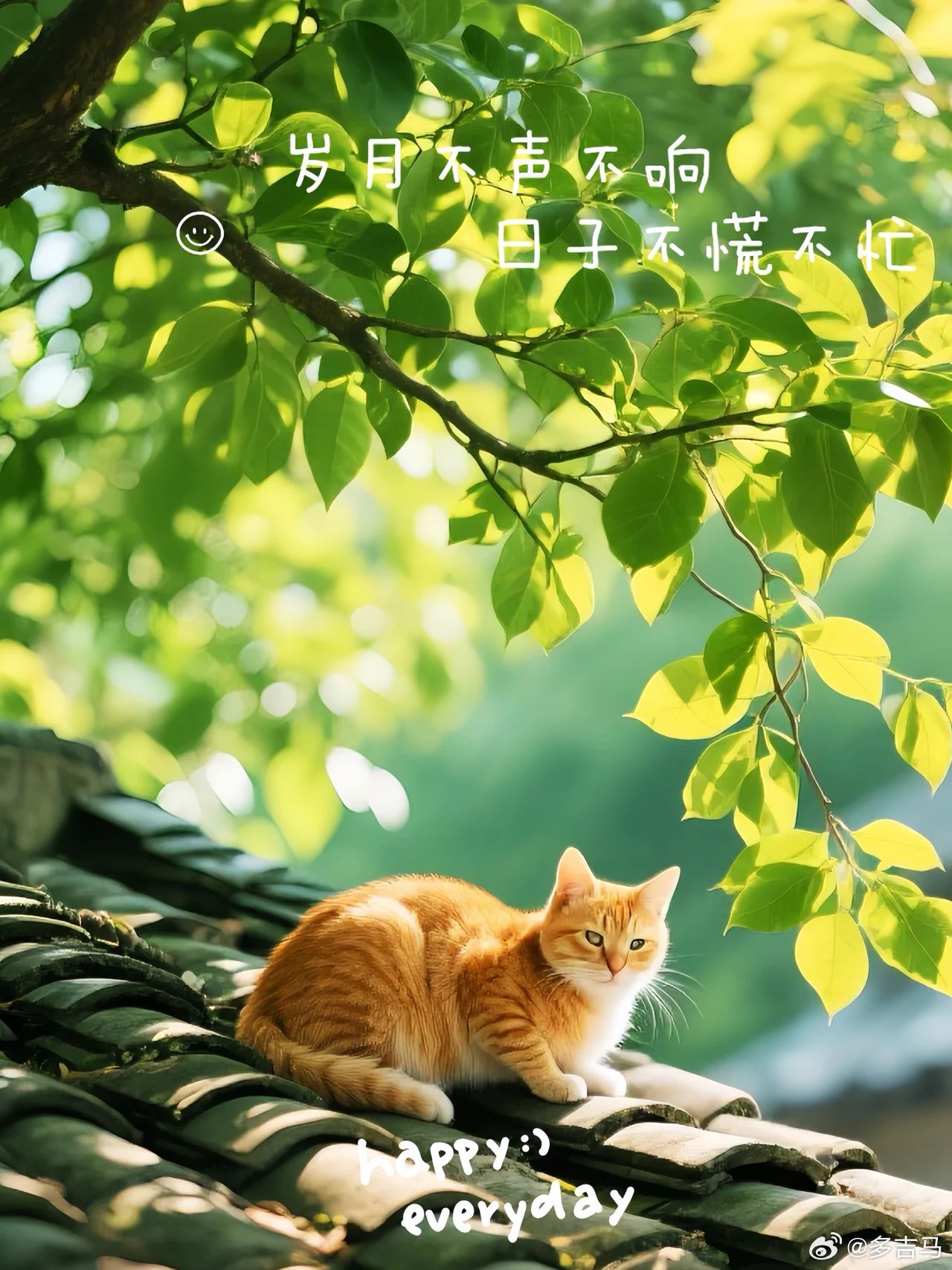 人，不经过长夜的痛哭，是不能了解人生的，我们将这些苦痛当作一种功课和学习，直到有