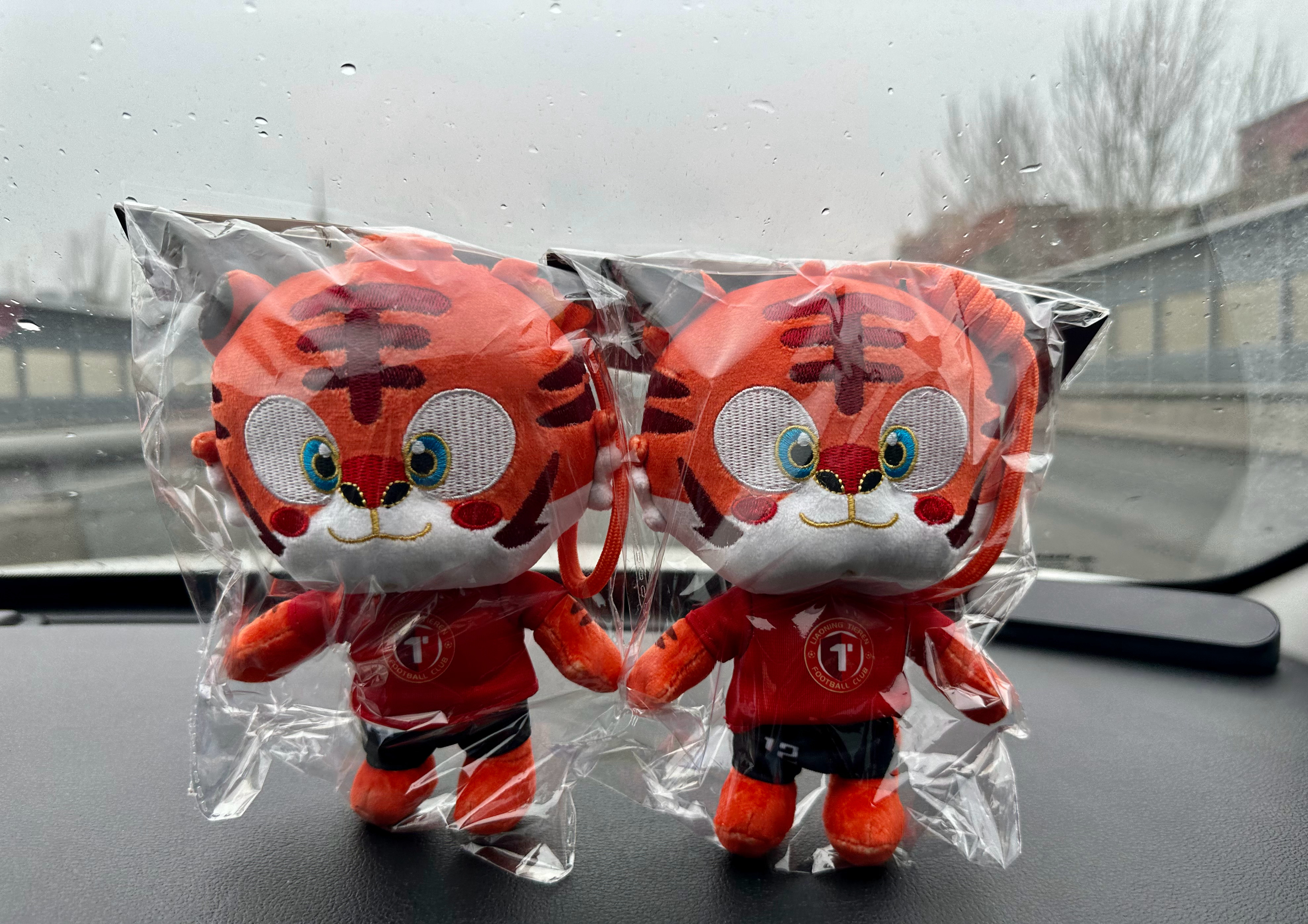 明天去铁西体育场看球 沈阳