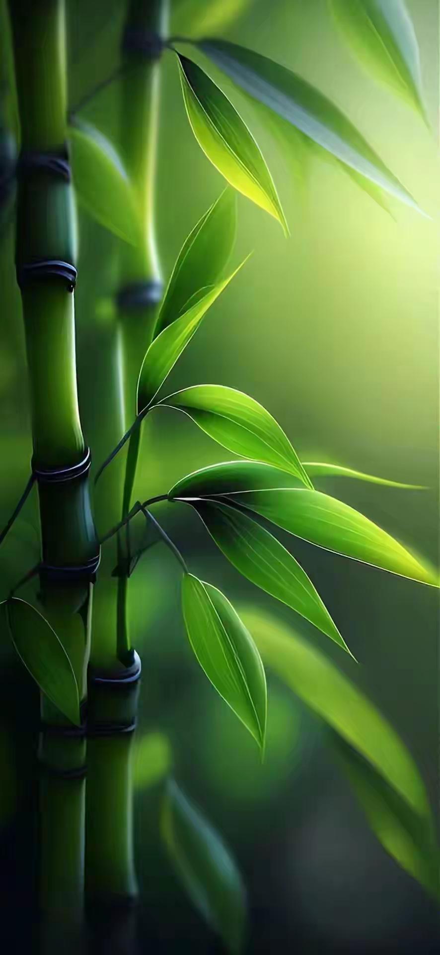 都说韧性很重要，是一个人走向成熟和成功的必要条件。那究竟什么韧性，韧性来自于何方