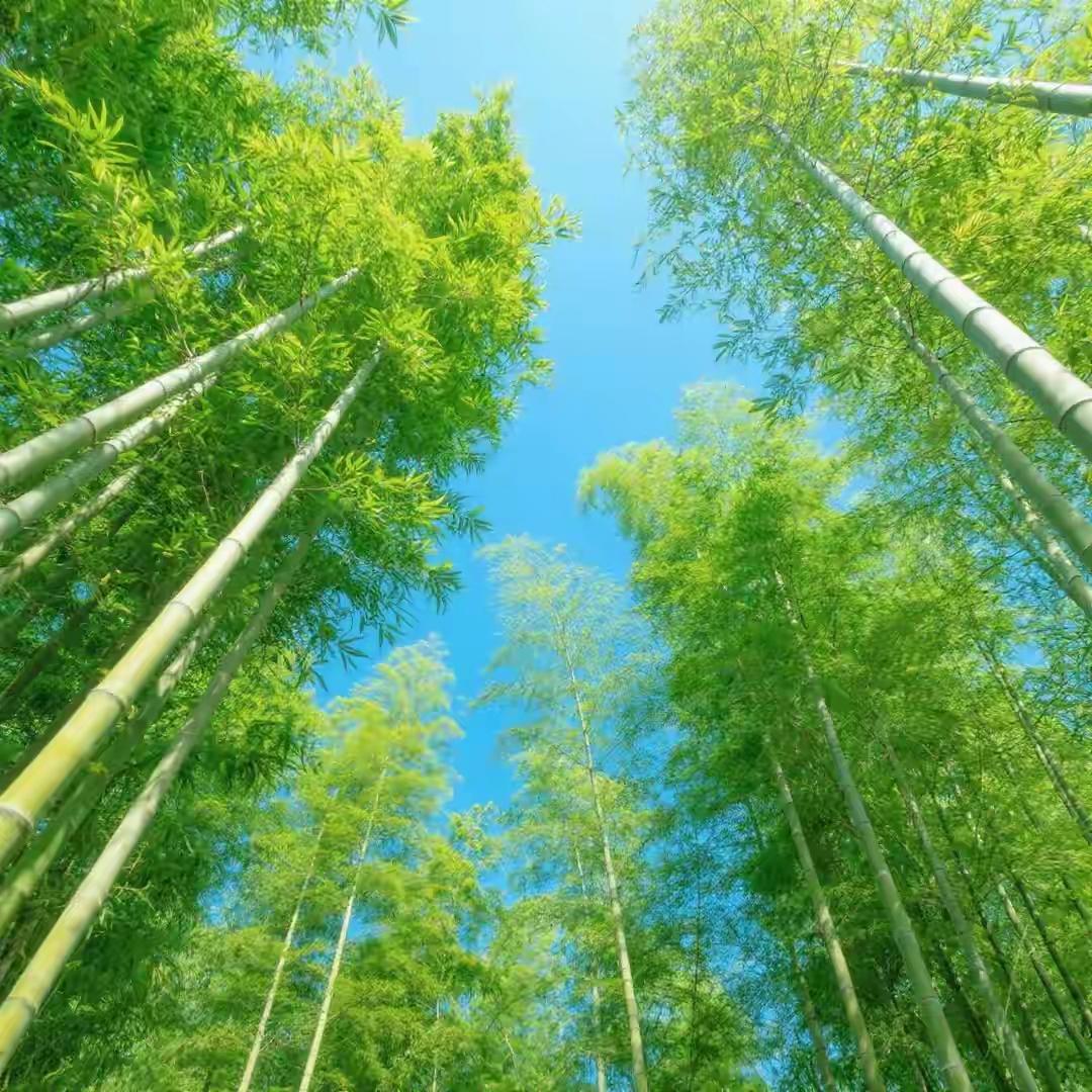 过去，总被长辈念叨“赶紧把棱角磨平，不然到社会要吃亏”，好像只有变成八面玲珑的圆