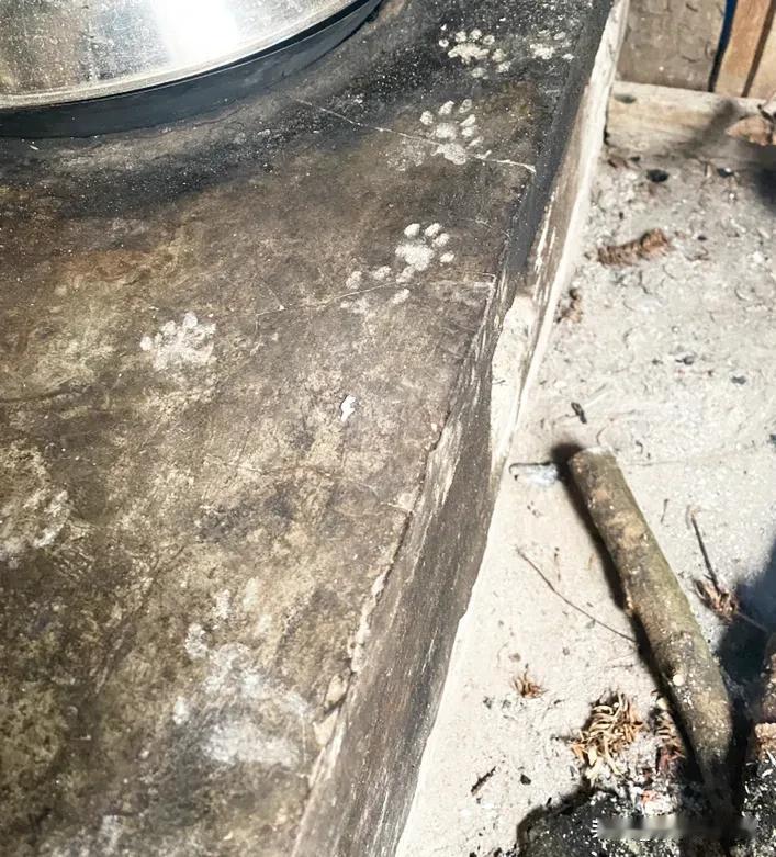 住山以来最难忘的一晚：睡到半夜两点过，朦胧中听见屋外有动静，接着进屋那扇闭合不全