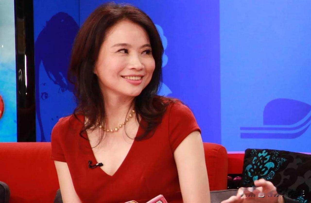 陈凤馨当面呛赵少康

陈凤馨13日在政论节目《少康战情室》中指出，这次国民党主席