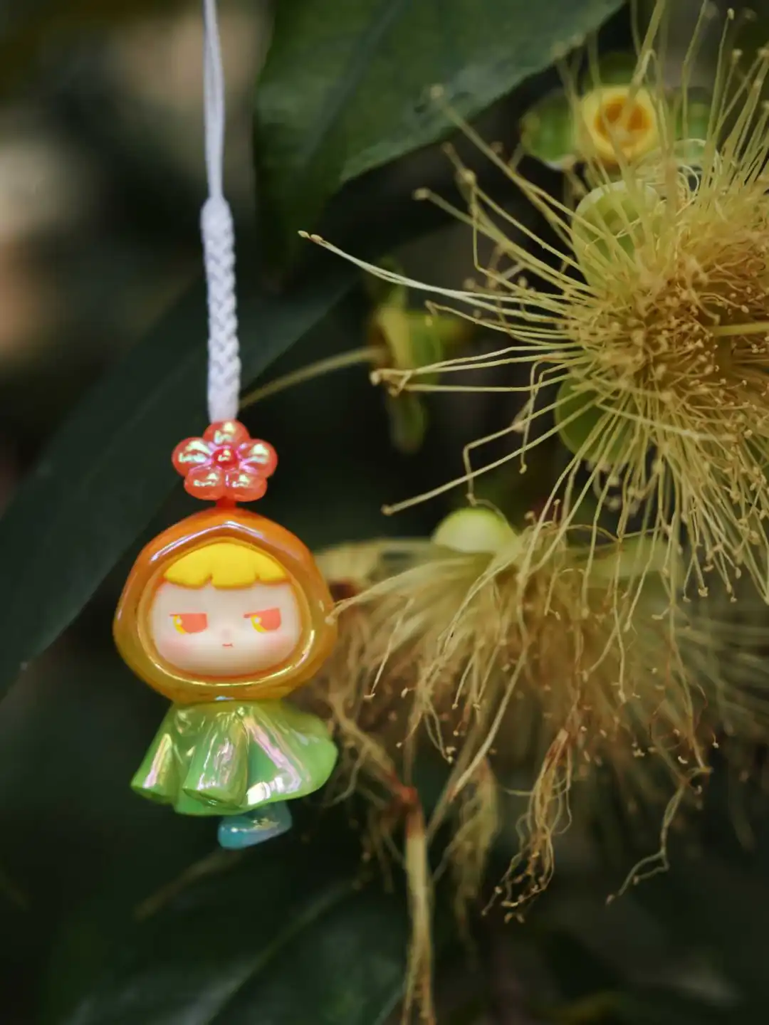 🎁| 花啦啦啦天在下雨~而Cimmy在等你~