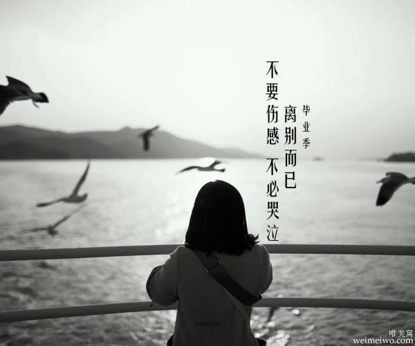 在这个广阔的世界上，人生的旅途漫长而又充满变数。我们走过千山万水，遇见了形形色色