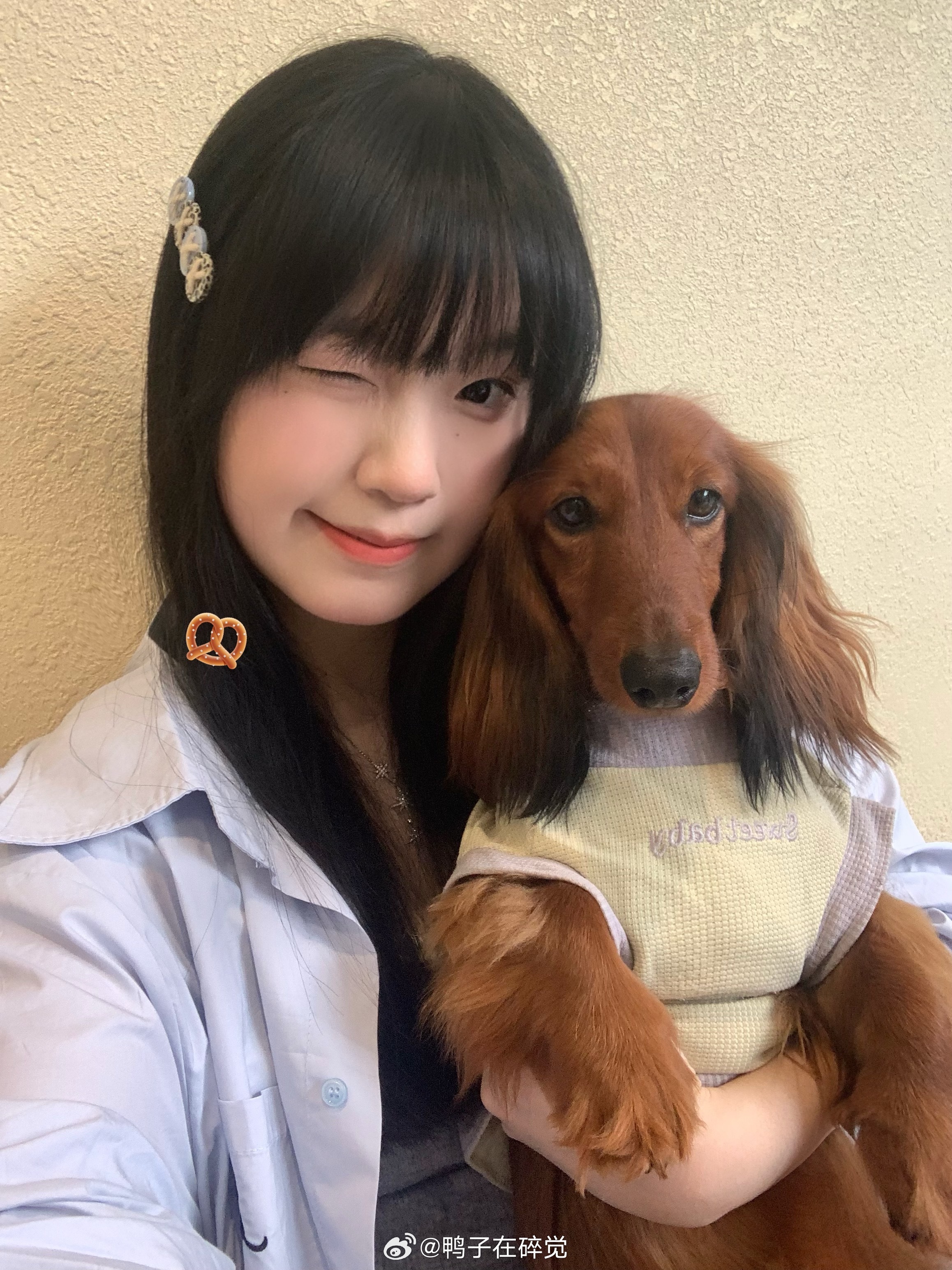 奇怪你爱小狗🥨🐕🐩 ​​​