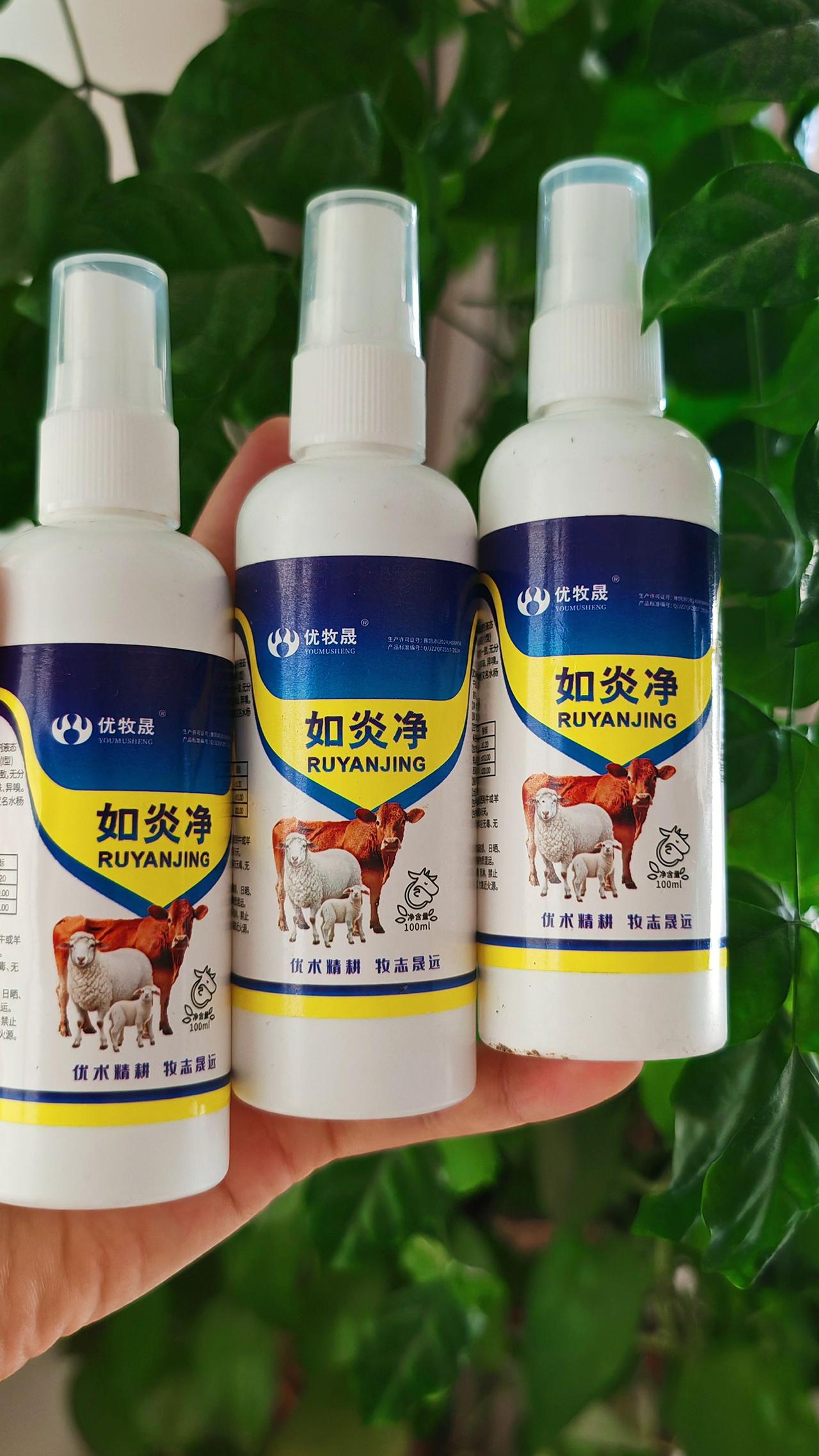 养羊人 农村养羊 牛羊养殖