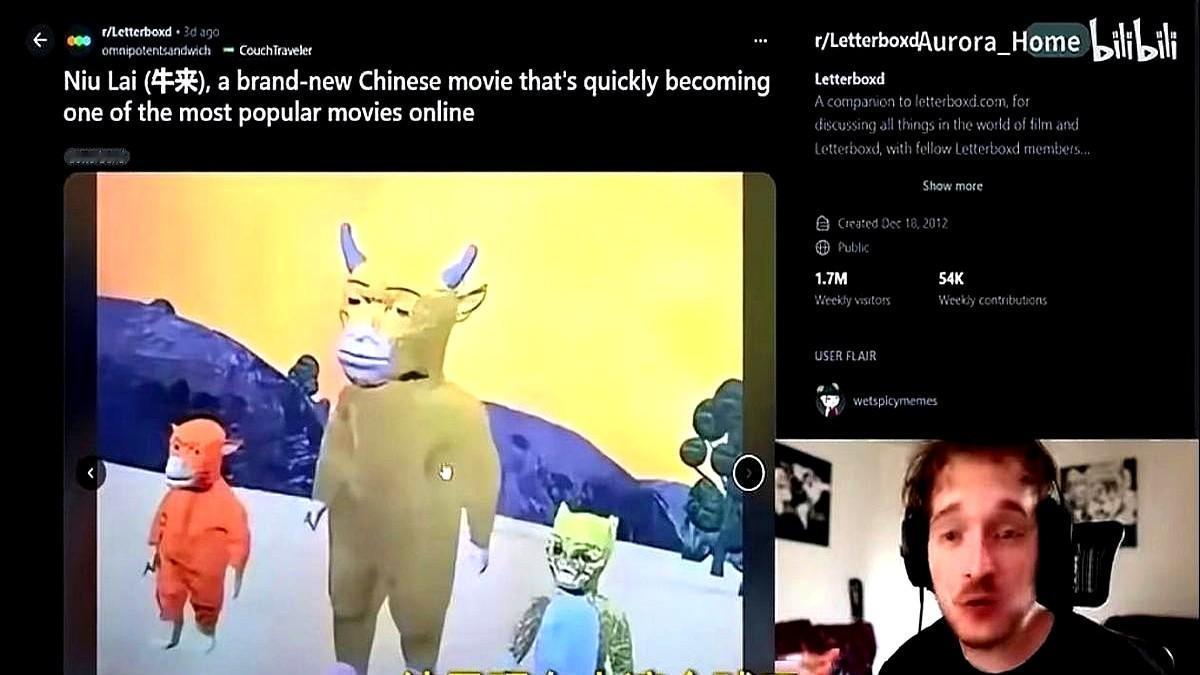 几万块成本的电影，前十天票房七千出头，眼看要下线。

这就是《牛来》。导演和家人