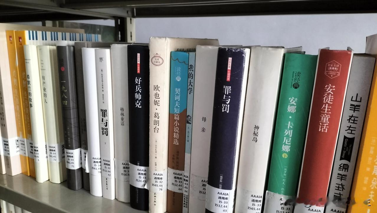 想让自己浮躁的心沉静下来，建议去图书馆转转吧！

为了给儿子借一本余华的《活着》