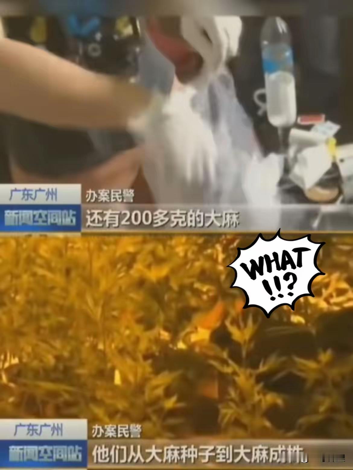 这个佩服了！
​广州警方抓获的19名嫌疑人
​其中含11名外籍人员组成的贩毒团伙