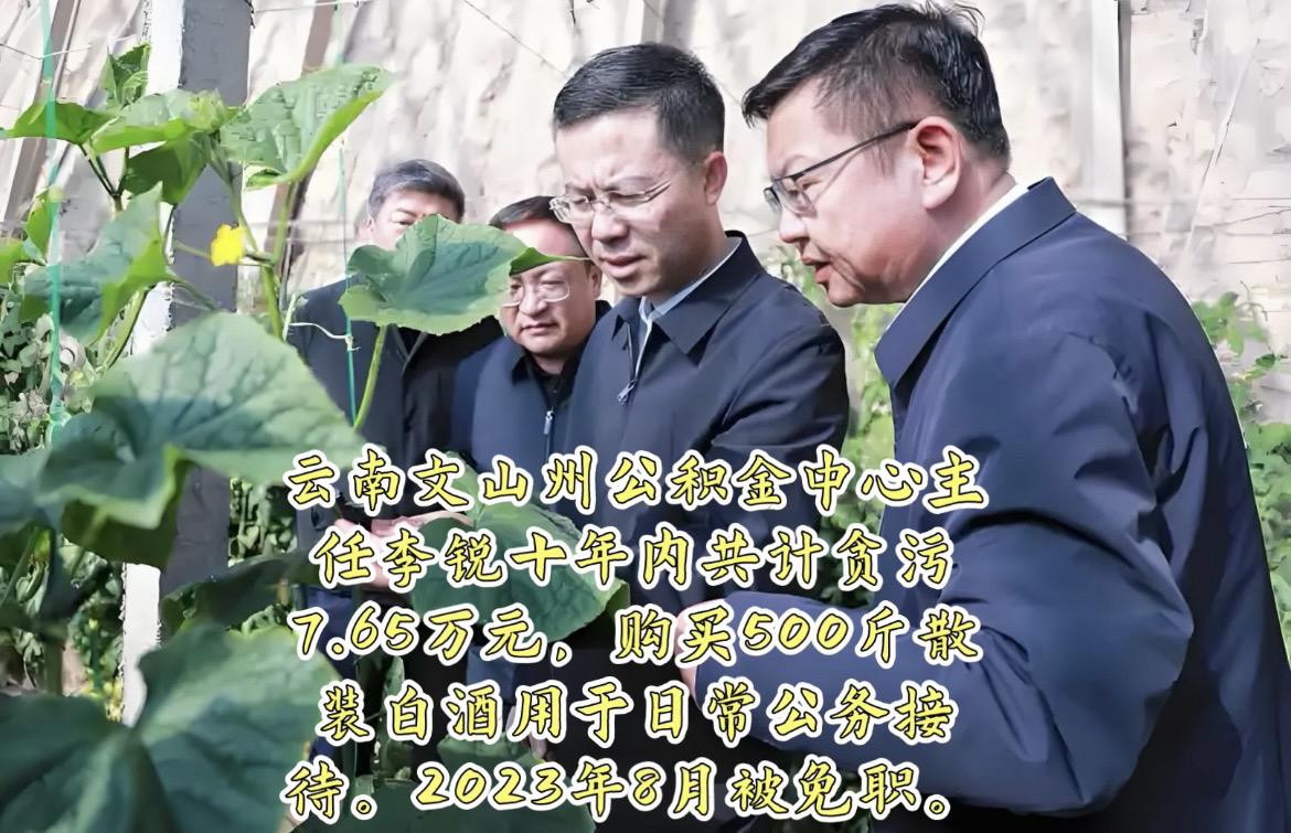 麻烦审核通过一下