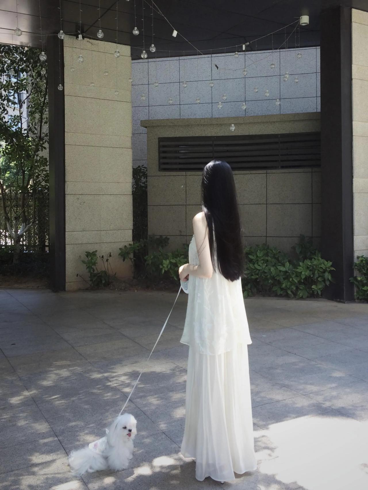 白色长裙与小白狗