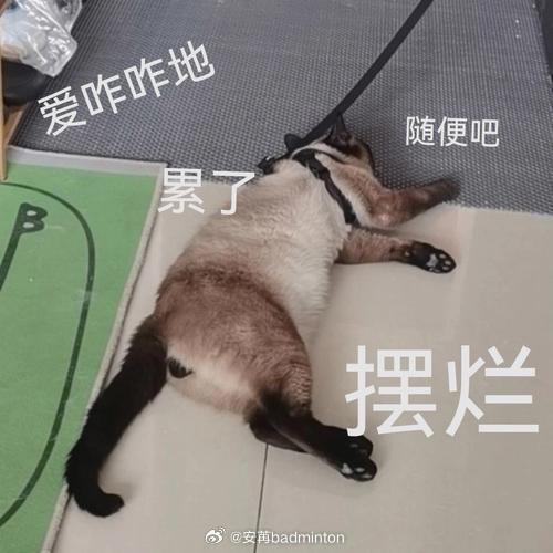 好家伙，今日男双比赛刚开始，截止目前前4种子全部出局。[doge][doge][