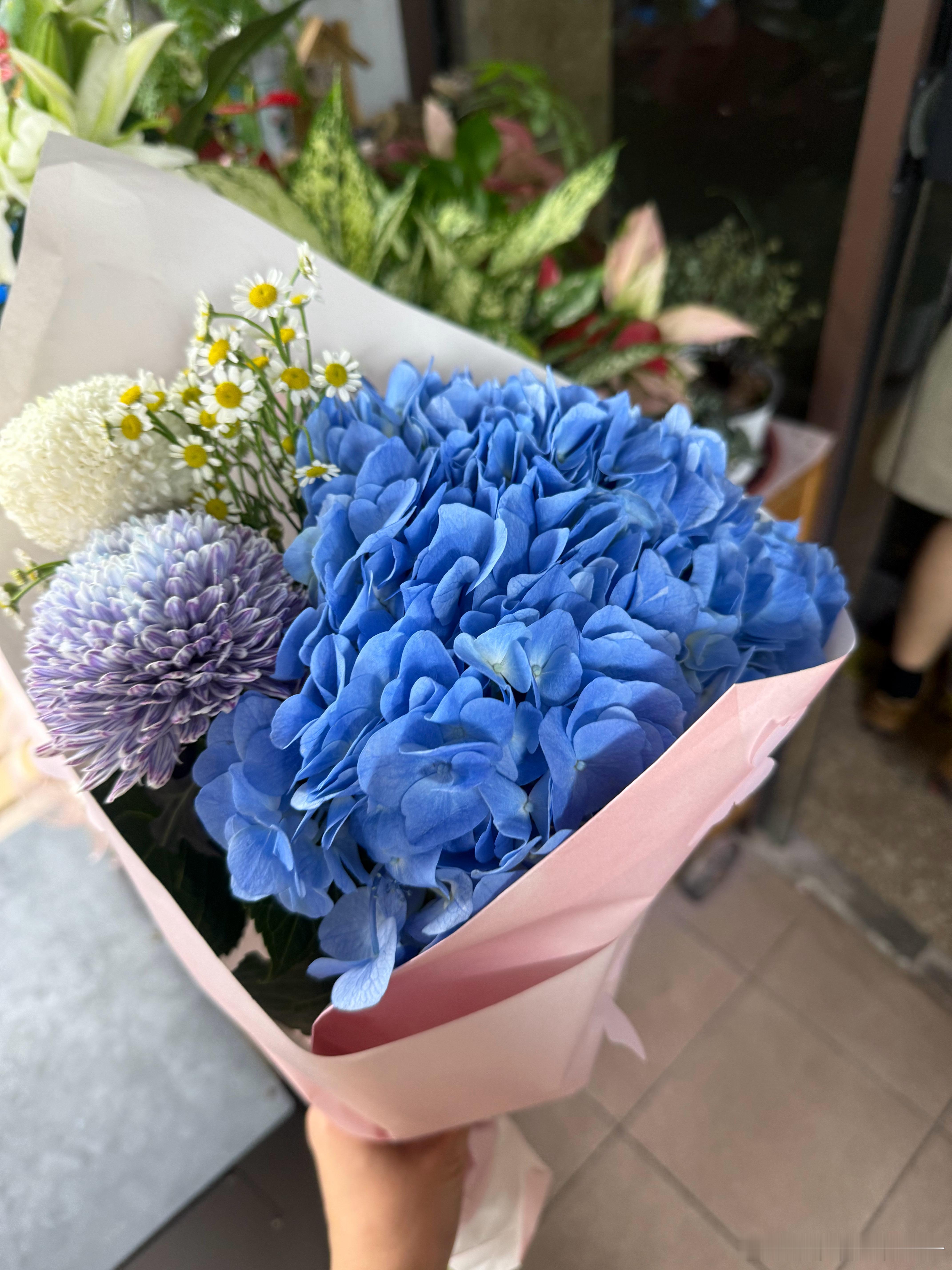 楼下遛狗买了花带回家，生活里细碎的幸福！！！ 