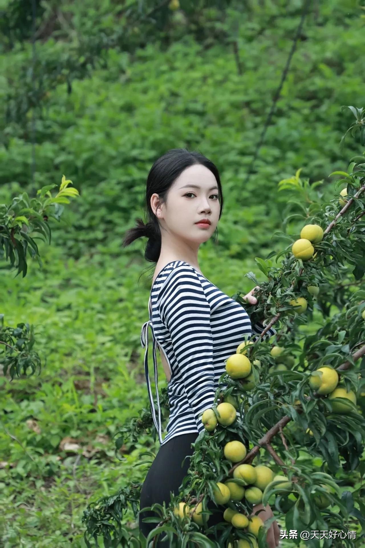 美女收集