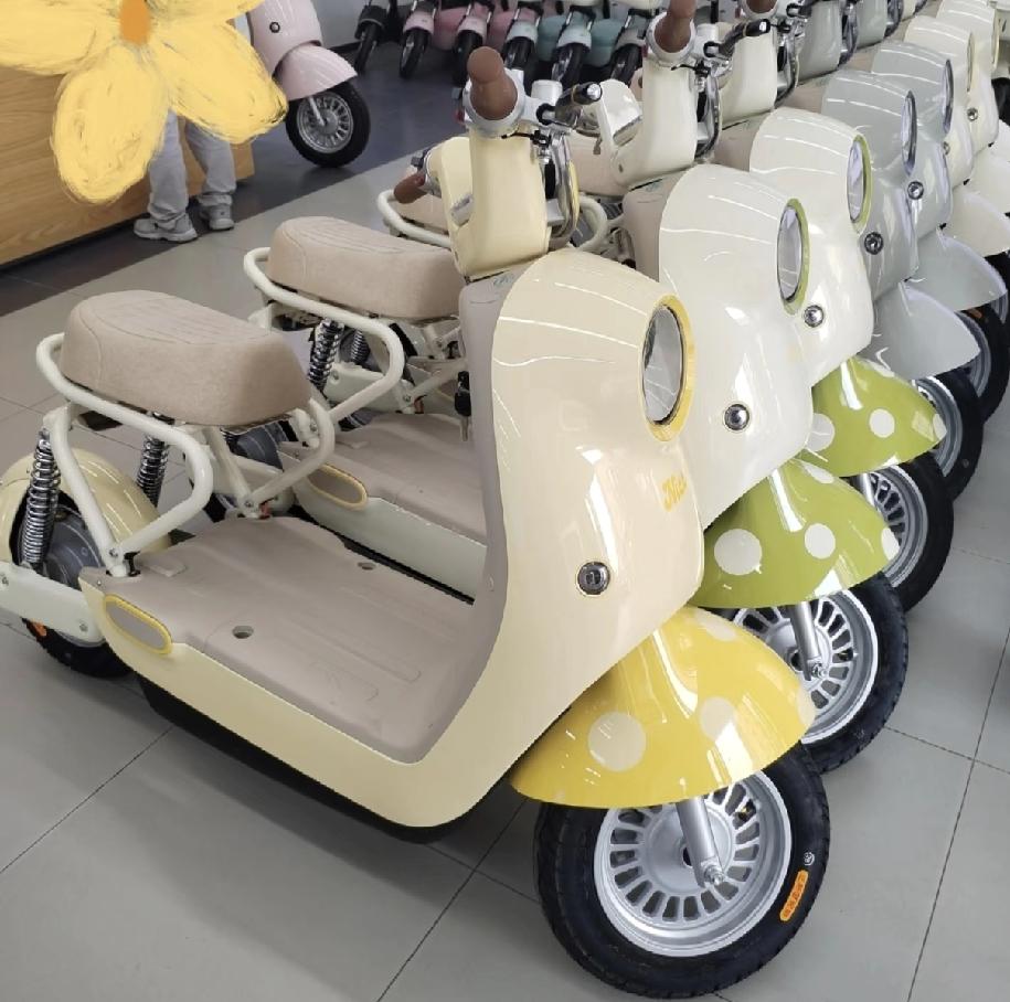 万万没想到，新国标电动车一上线旧国标电动车被抢疯了！旧国标电动车有的1000多就