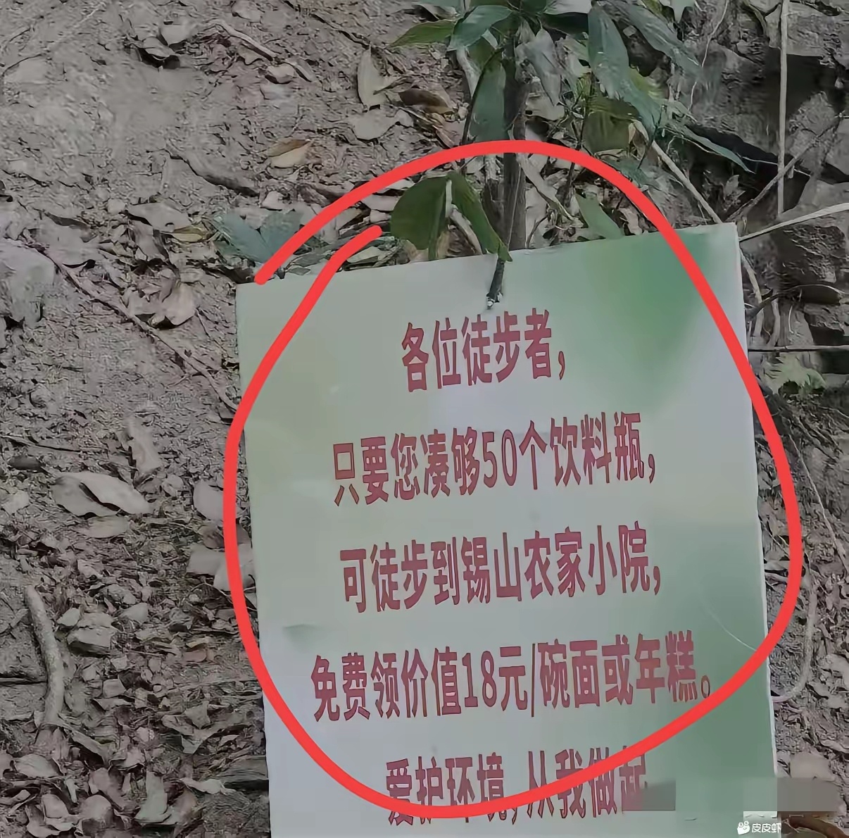 这位老板确实是会做生意啊 