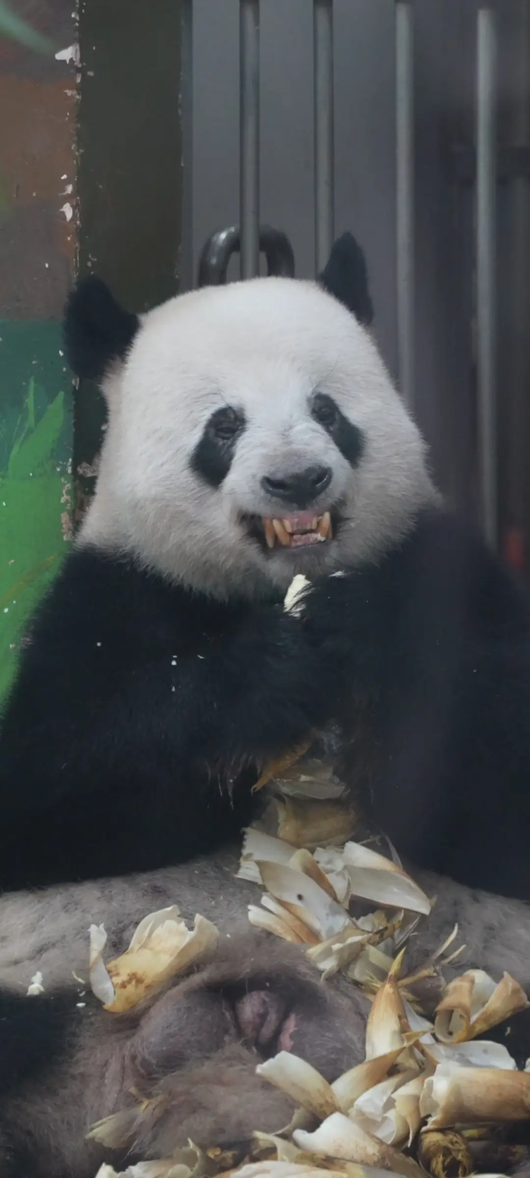 星一:上班的心情，你猜？