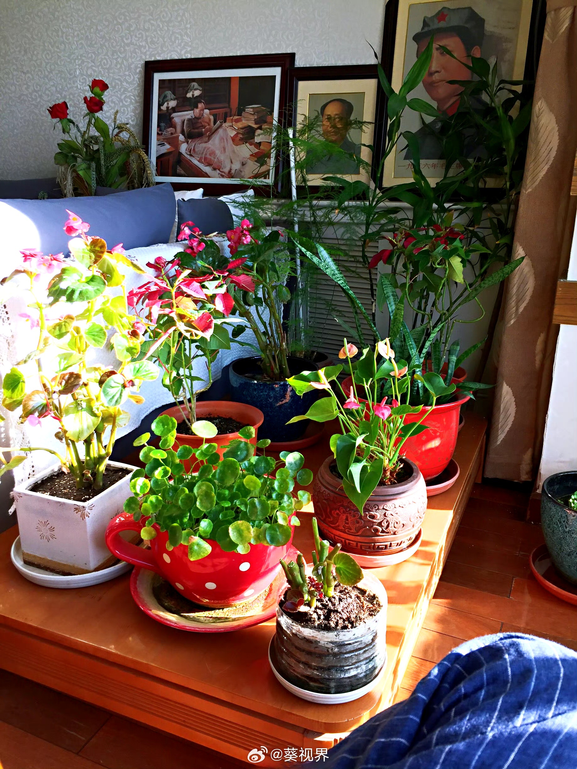 世界乱象丛生祖国稳如泰山眼前是花草生姿的明媚，这样的祥和，并非理所当然，而是我们