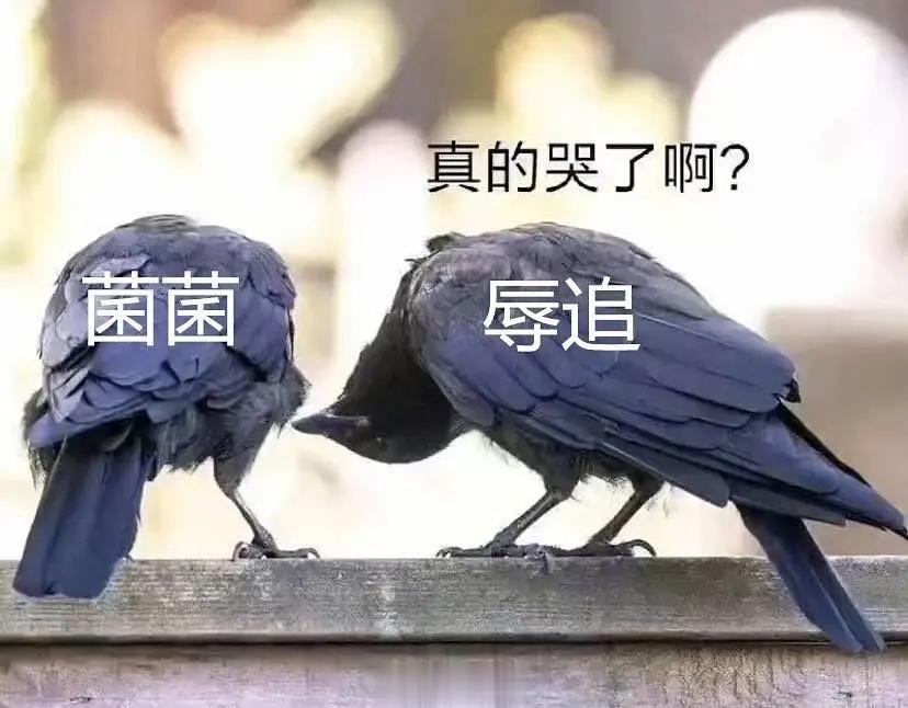 他真的哭了[允悲] ​​​