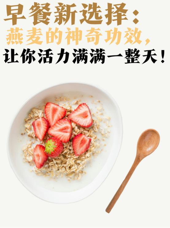 每天一碗燕麦片！科学解析：它的营养密码、健康作用与食用真相！

你是否每天早晨急
