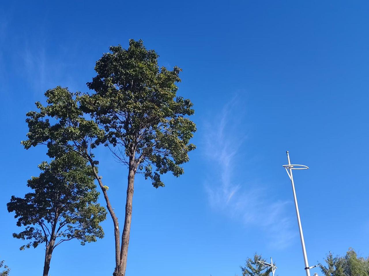 今天，侄女儿给我们几个中年人结结实实上了一课。
中午吃饭时，嫂子和我以及我姐我哥